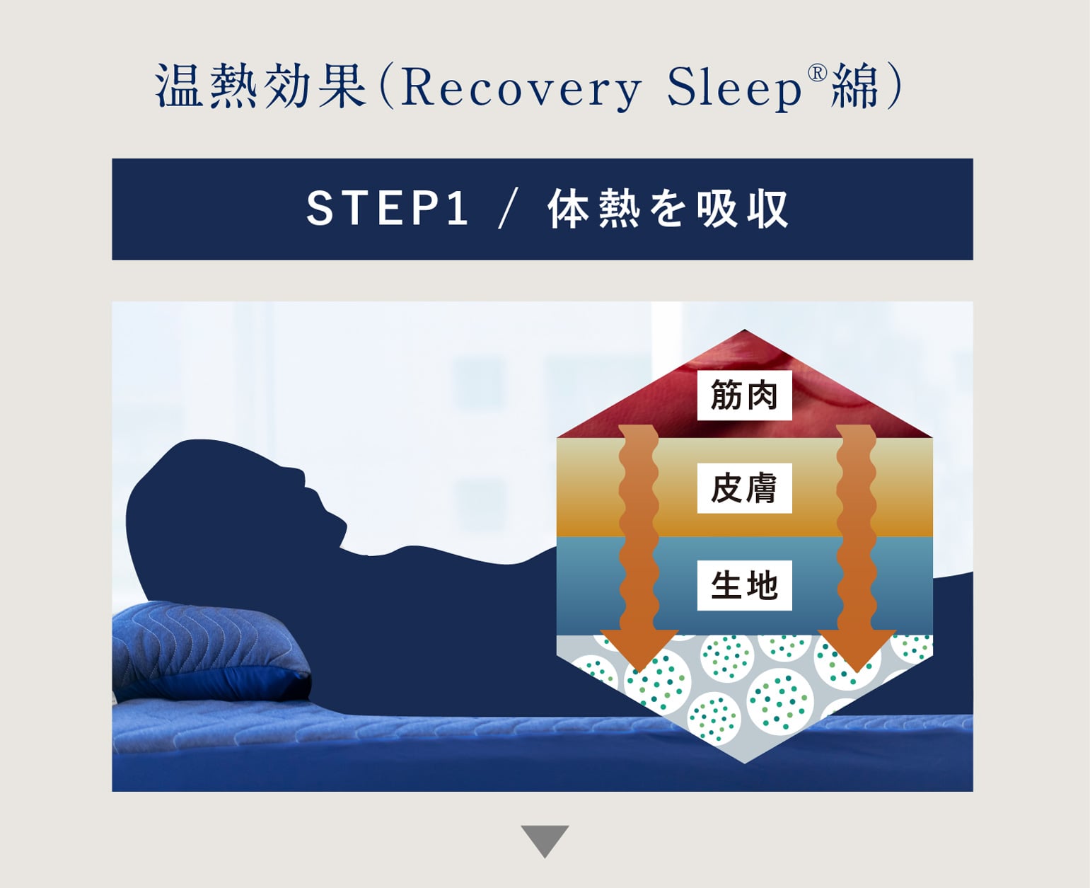 温熱効果（Recovery Sleep®綿）STEP1 / 体熱を吸収