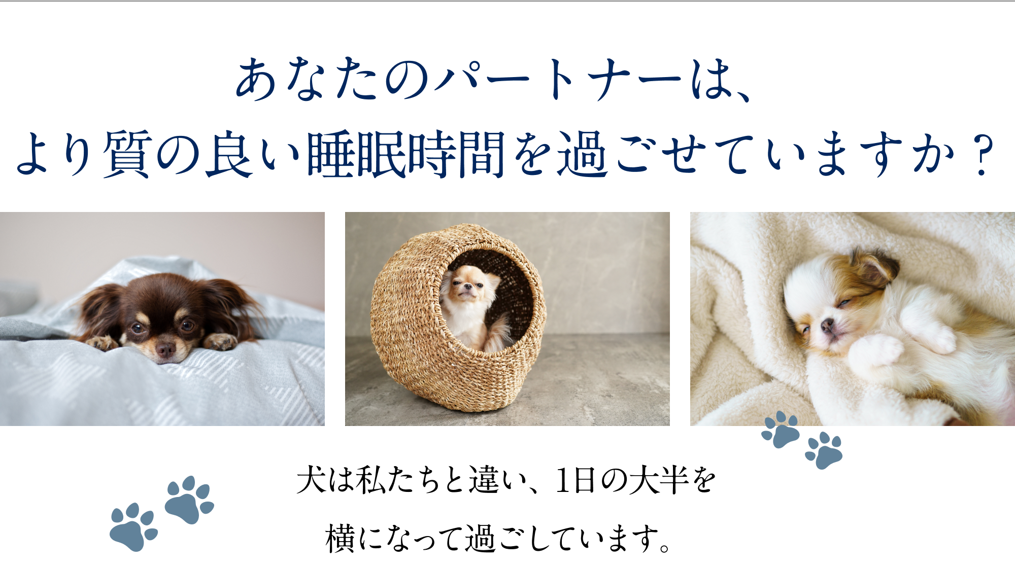 あなたのパートナーは、より質の良い睡眠時間を過ごせていますか？