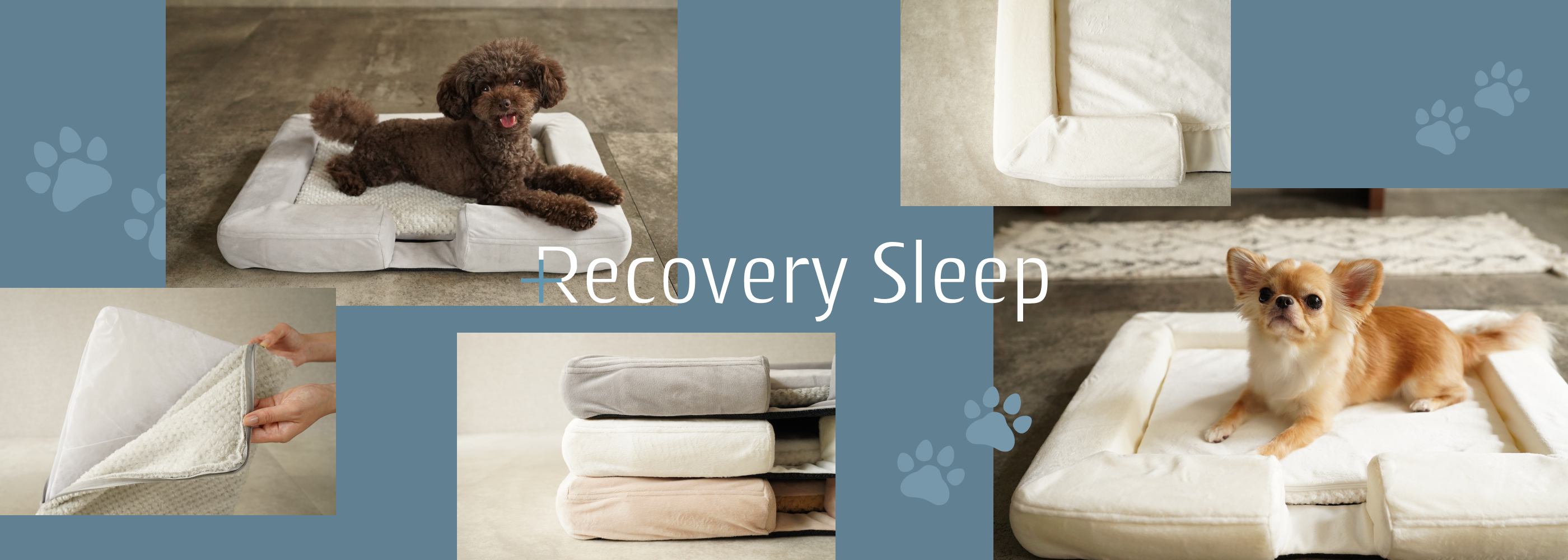 RecoverySleep