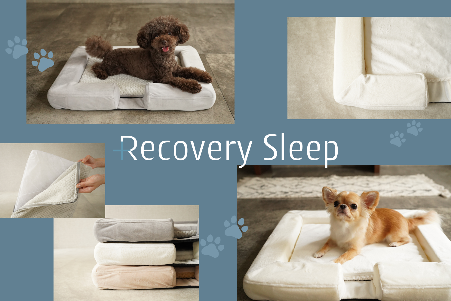 RecoverySleep