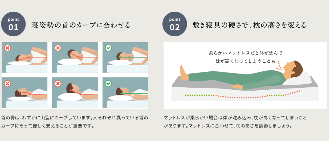 point01寝姿勢の首のカーブに合わせる
            首の骨は、わずかに山型にカーブしています。人それぞれ異っている首のカーブにそって優しく支えることが重要です。
            point02敷き寝具の硬さで、枕の高さを変える
            マットレスが柔らかい場合は体が沈み込み、枕が高くなってしまうことがあります。マットレスに合わせて、枕の高さを調節しましょう。